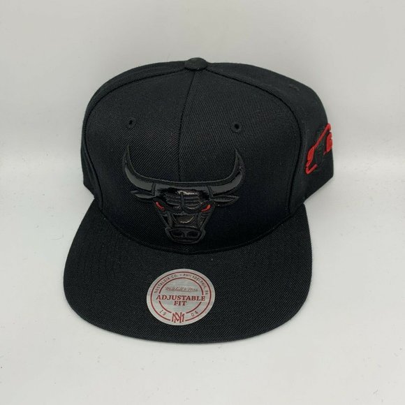 Mitchell & Ness Other - Chicago Bulls 1996 Patent Leather Mitchell & Ness Hat Snapback Cap Space Jam